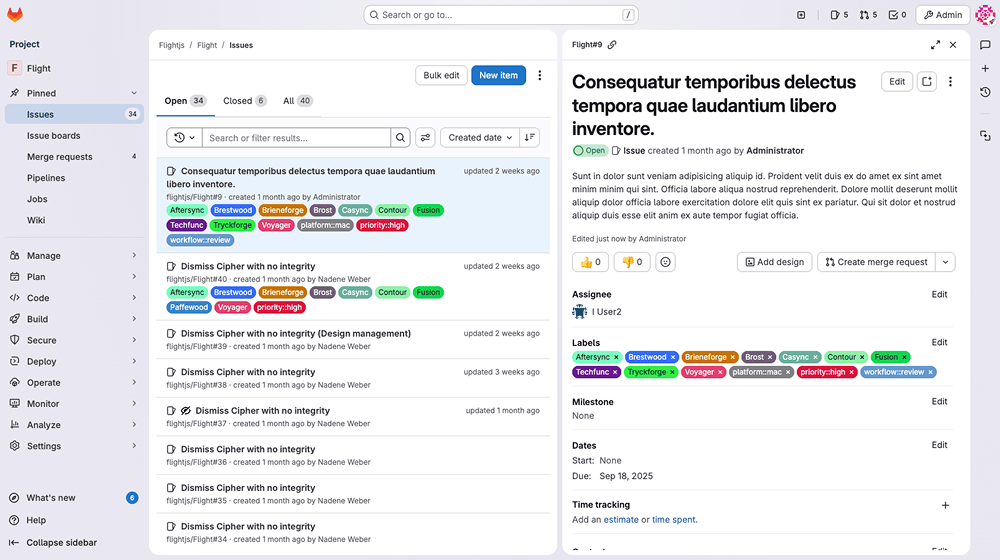 Issue opened in a panel side by side with the Issues panel.